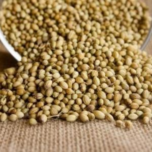 ধনিয়া