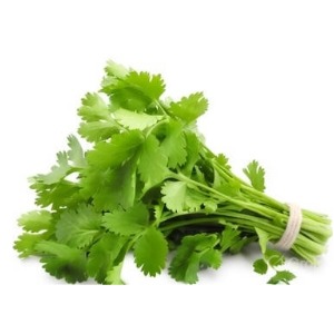 ধনেপাতা