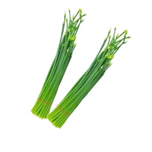 পিঁয়াজের ফুল