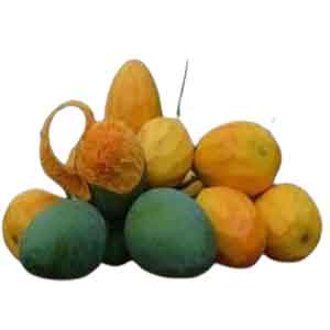 আম (হাড়িভাঙ্গা) ১ Kg